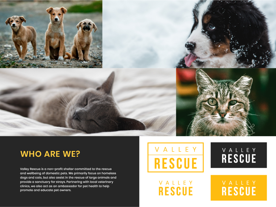 Valley Rescue brand feel